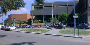 large image
